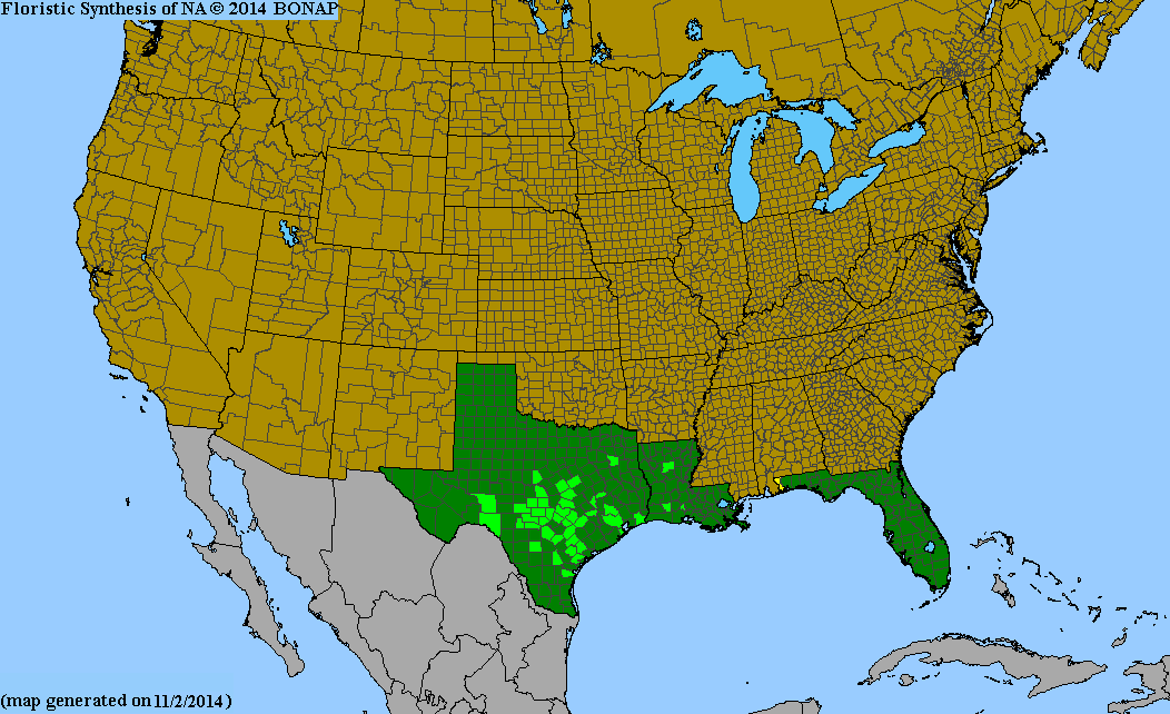 County distribution map of Cooperia pedunculata - Prairie-Lily